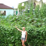 Комнаты под ключ п.Штормовое